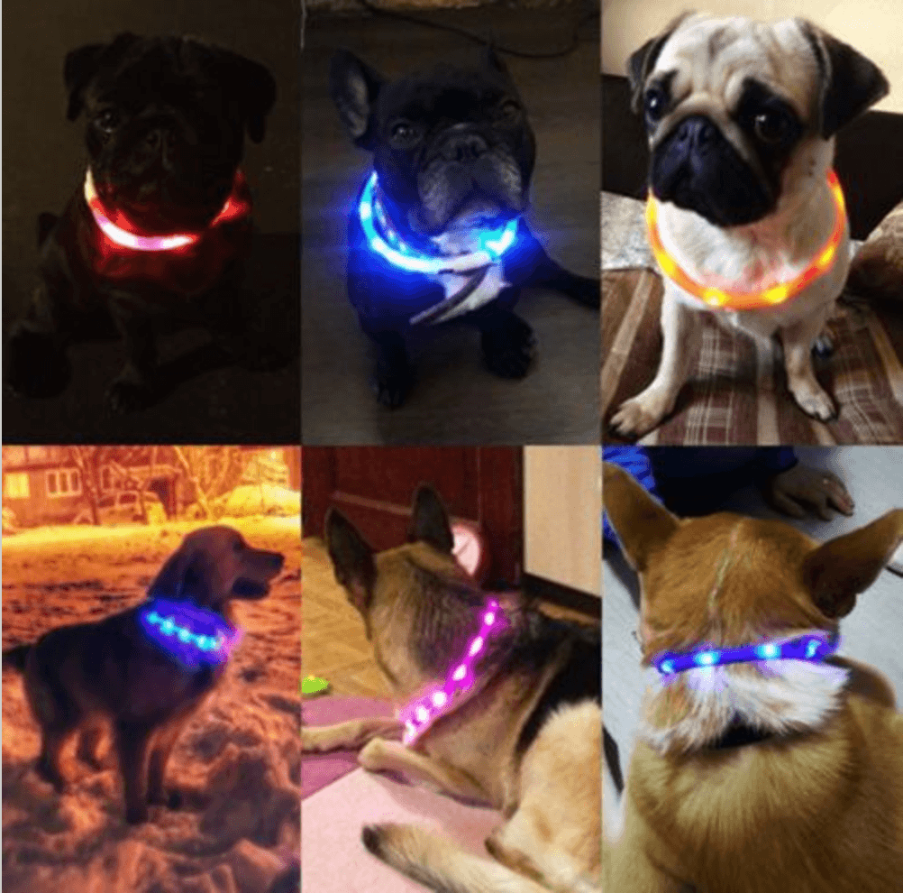 Led pet 2024 dog collar