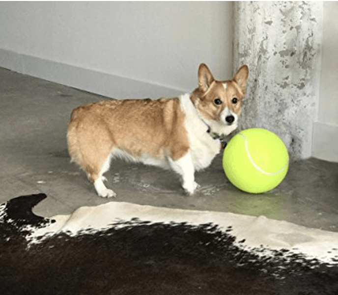 Geode tennis ball dog toy discount