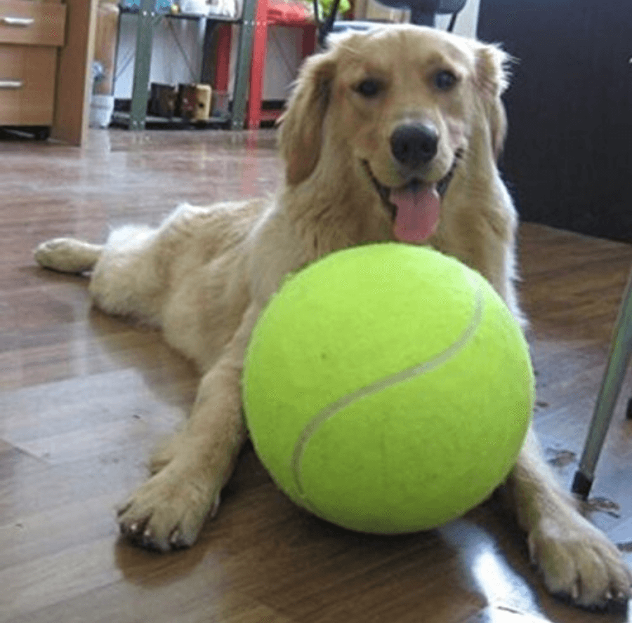 24cm online tennis ball