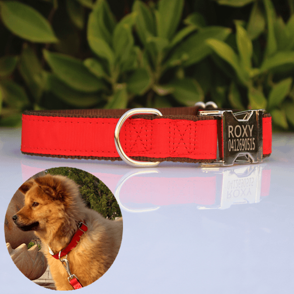 Dog collar with name on buckle deals