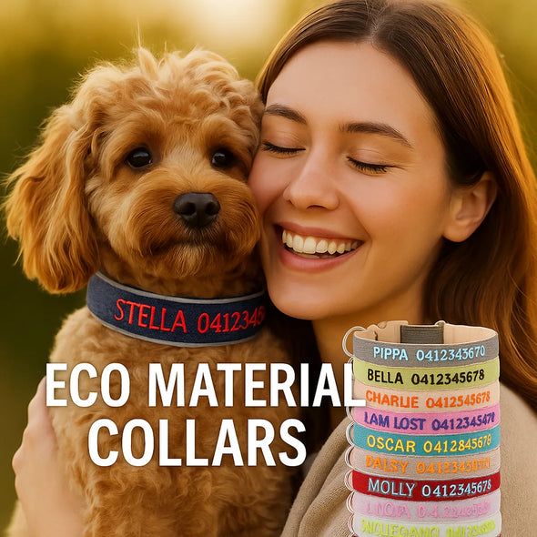 Eco-Friendly ID Collars – Sustainable Safety, Naturally