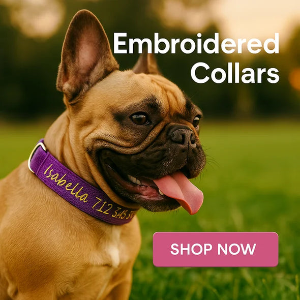 Embroidered Collars Collection