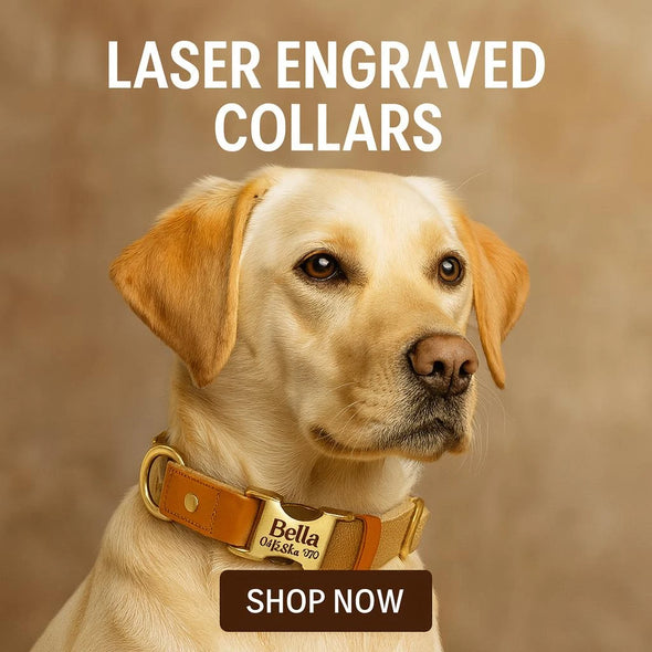 Laser Engraved ID Collection