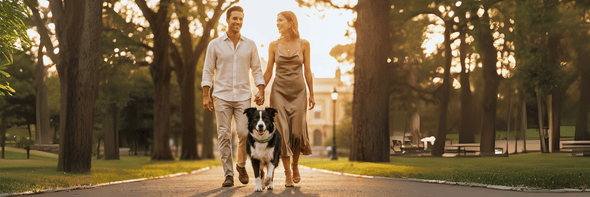 PREMIUM PADDED - MEDIUM DOGS