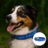 Personalised Dog Collar – Embroidered Bamboo Fleece | Deluxe Comfort Padded