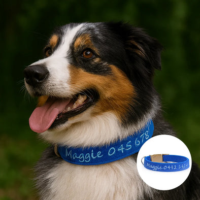 Personalised Dog Collar – Embroidered Bamboo Fleece | Deluxe Comfort Padded