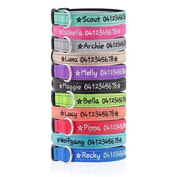 Personalised Dog Collar – Embroidered Reflective Nylon | Premium Padded Safety