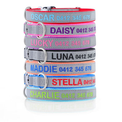 Personalised Dog Collar – High Reflective Nylon | Embroidered Safety ID