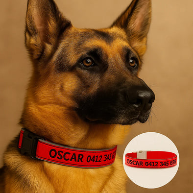Personalised Dog Collar – Embroidered Reflective Nylon & Neoprene | Super Premium Padded Safety