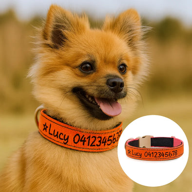 Personalised Dog Collar – Embroidered Reflective Nylon | Premium Padded Safety