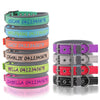 Personalised Dog Collar – Embroidered Nylon & Neoprene | Deluxe Padded Belt-Buckle Style