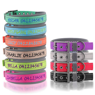 Personalised Dog Collar – Embroidered Nylon & Neoprene | Deluxe Padded Belt-Buckle Style