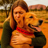 Personalised Dog Collar – Embroidered Reflective Nylon & Neoprene | Super Premium Padded Safety