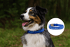 Personalised Dog Collar – Embroidered Bamboo Fleece | Deluxe Comfort Padded
