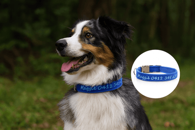 Personalised Dog Collar – Embroidered Bamboo Fleece | Deluxe Comfort Padded