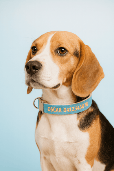 Personalised Dog Collar – Embroidered Hemp | Eco-Friendly with Plastic Buckle