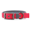 Personalised Dog Collar – Embroidered Nylon & Neoprene | Deluxe Padded Belt-Buckle Style