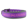 Personalised Dog Collar – Embroidered Nylon & Neoprene | Deluxe Padded Belt-Buckle Style