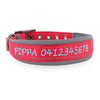 Personalised Dog Collar – Embroidered Nylon & Neoprene | Deluxe Padded Belt-Buckle Style