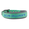 Personalised Dog Collar – Embroidered Nylon & Neoprene | Deluxe Padded Belt-Buckle Style