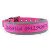Personalised Dog Collar – Embroidered Nylon & Neoprene | Deluxe Padded Belt-Buckle Style