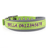 Personalised Dog Collar – Embroidered Nylon & Neoprene | Deluxe Padded Belt-Buckle Style