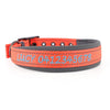 Personalised Dog Collar – Embroidered Nylon & Neoprene | Deluxe Padded Belt-Buckle Style