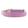 Personalised Dog Collar – Embroidered Hemp | Eco-Friendly with Metal or Plastic Buckle