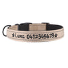 Personalised Dog Collar – Embroidered Reflective Nylon | Premium Padded Safety