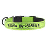 Personalised Dog Collar – Embroidered Reflective Nylon | Premium Padded Safety