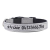 Personalised Dog Collar – Embroidered Reflective Nylon | Premium Padded Safety