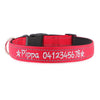 Personalised Dog Collar – Embroidered Reflective Nylon | Premium Padded Safety