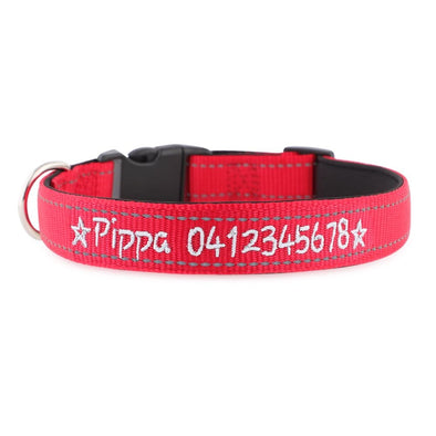 Personalised Dog Collar – Embroidered Reflective Nylon | Premium Padded Safety
