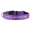 Personalised Dog Collar – Embroidered Reflective Nylon | Premium Padded Safety