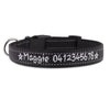 Personalised Dog Collar – Embroidered Reflective Nylon | Premium Padded Safety