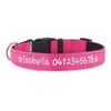 Personalised Dog Collar – Embroidered Reflective Nylon | Premium Padded Safety