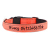 Personalised Dog Collar – Embroidered Reflective Nylon | Premium Padded Safety