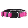 Personalised Dog Collar – Embroidered Reflective Nylon | Premium Padded Safety