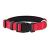 Personalised Dog Collar – Laser Engraved Buckle | Reflective & Padded Durable ID