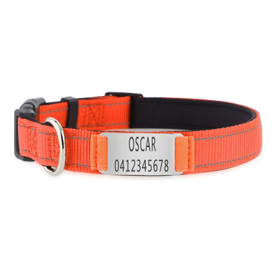 Personalised Dog Collar – Laser Engraved Buckle | Reflective & Padded Durable ID