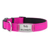 Personalised Dog Collar – Laser Engraved Buckle | Reflective & Padded Durable ID