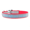 Personalised Dog Collar – High Reflective Nylon | Embroidered Safety ID