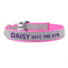 Personalised Dog Collar – High Reflective Nylon | Embroidered Safety ID