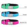 Personalised Dog Collar – Laser Engraved Buckle | Reflective & Padded Durable ID