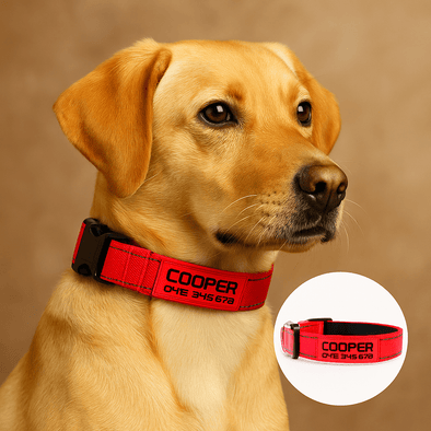 Personalised Dog Collar – Printed ID Patch | Reflective Deluxe Padded
