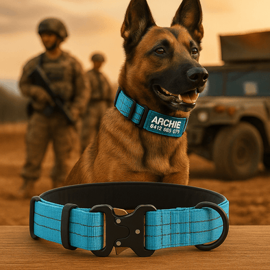 Personalised Tactical Dog Collar – Printed ID Patch with Leather Handle | Reflective Heavy-Duty