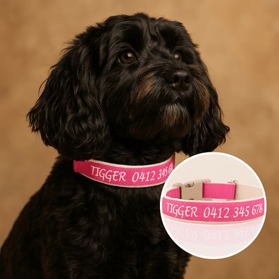 Personalised Dog Collar – Embroidered Organic Bamboo | Eco-Friendly & Durable