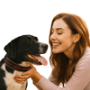 Personalised Dog Collar – Embroidered Reflective Nylon & Neoprene | Super Premium Padded Safety