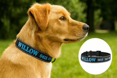 Personalised Dog Collar – Tactical Embroidered Nylon | Heavy-Duty Security