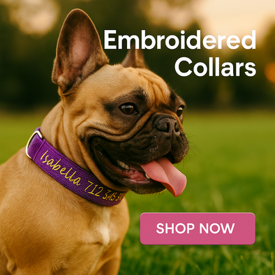 Personalised Dog Collar – Embroidered Bamboo Fleece | Deluxe Comfort Padded